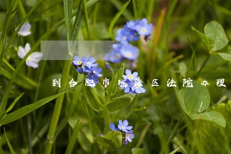 到合肥市瑶海区法院办理离婚 到合肥市瑶海区法院办理离婚