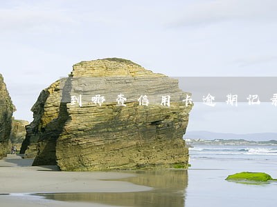 到哪查信用卡逾期记录 到哪查信用卡逾期记录
