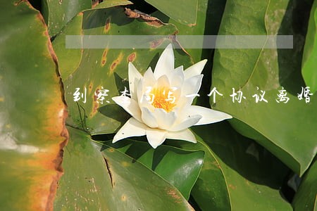 到察查局写一个协议离婚证明