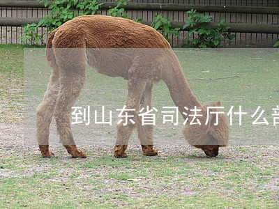 到山东省司法厅什么部门告狱警 到山东省司法厅什么部门告狱警