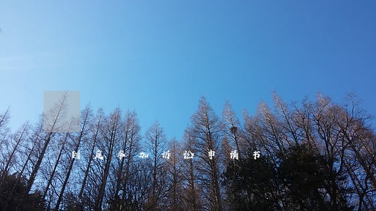 到庭参加诉讼申请书 到庭参加诉讼申请书