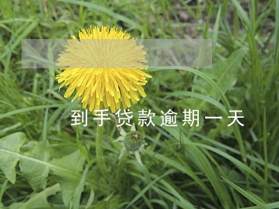 到手贷款逾期一天 到手贷款逾期一天