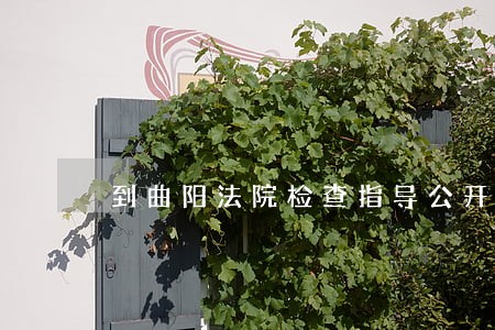 到曲阳法院检查指导公开工作