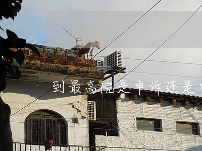 到最高院是申诉还是申请再审