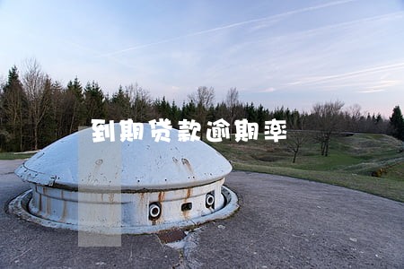 到期贷款逾期率 到期贷款逾期率