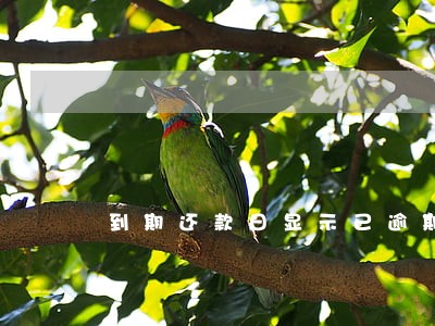 到期还款日显示已逾期影响信用吗 到期还款日显示已逾期影响信用吗