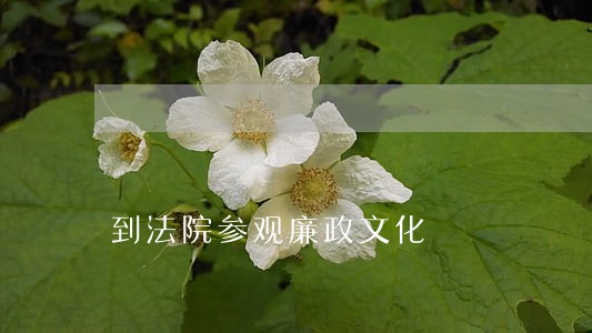 到法院参观廉政文化 到法院参观廉政文化