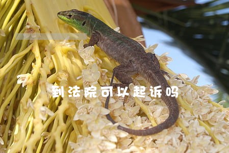 到法院可以起诉吗 到法院可以起诉吗
