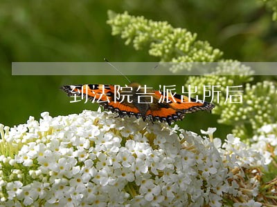 到法院告派出所后 到法院告派出所后