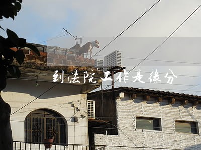 到法院工作是缘分