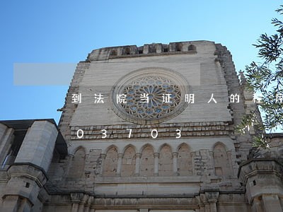 到法院当证明人的程序/2023031503703 到法院当证明人的程序/2023031503703