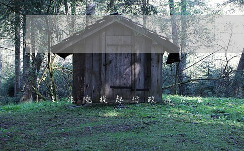 到法院提起行政诉讼后 到法院提起行政诉讼后