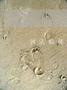 到法院能把钱判还给我吗 到法院能把钱判还给我吗