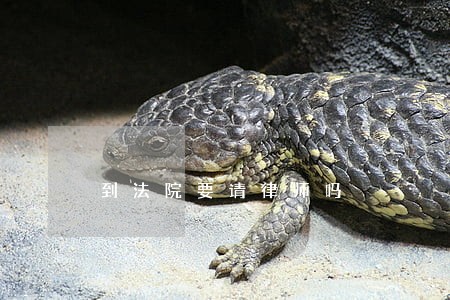 到法院要请律师吗