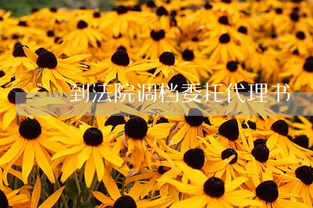 到法院调档委托代理书 到法院调档委托代理书
