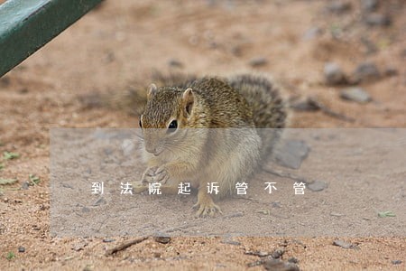 到法院起诉管不管 到法院起诉管不管