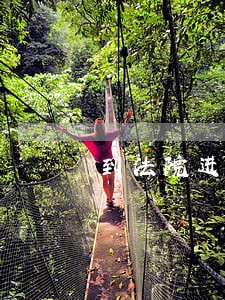 到法院进行调研的通知 到法院进行调研的通知