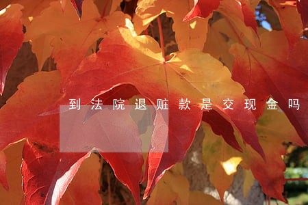 到法院退赃款是交现金吗