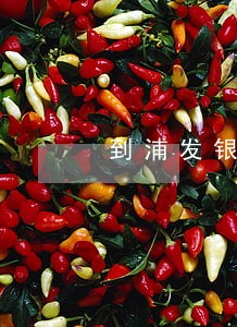 到浦发银行协商逾期 到浦发银行协商逾期