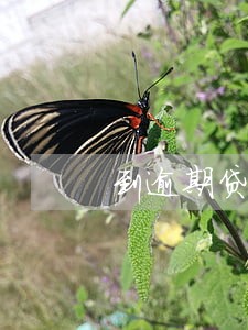 到逾期贷款催收的要求是什么 到逾期贷款催收的要求是什么