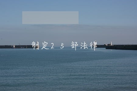 制定25部法律 制定25部法律