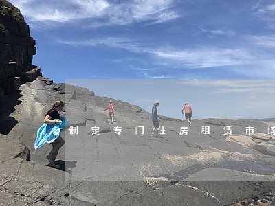 制定专门住房租赁市场法律 制定专门住房租赁市场法律