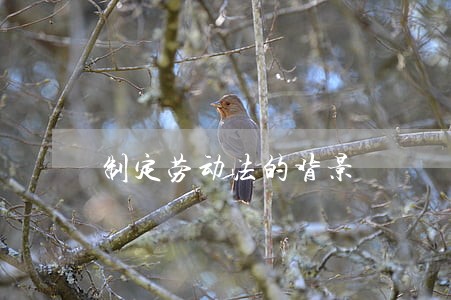 制定劳动法的背景 制定劳动法的背景
