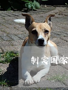 制定国家安全的军事法规 制定国家安全的军事法规