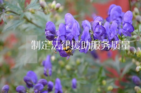 制定法律援助服务质量