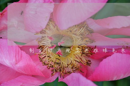制定行为规范共推绿色采购 制定行为规范共推绿色采购