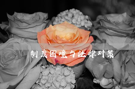 制度困境与法律对策 制度困境与法律对策