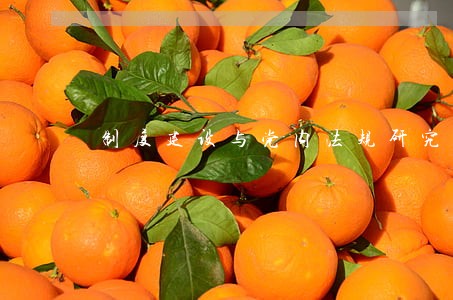 制度建设与党内法规研究 制度建设与党内法规研究