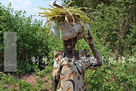 制片人回应下季不做律师了 制片人回应下季不做律师了