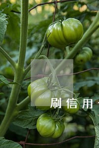 刷信用卡没有逾期记录 刷信用卡没有逾期记录