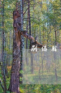 刷信用卡看病逾期无力偿还怎么办 刷信用卡看病逾期无力偿还怎么办