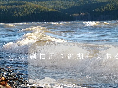 刷信用卡逾期一天怎么办 刷信用卡逾期一天怎么办