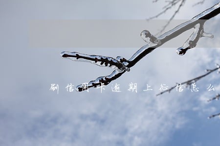 刷信用卡逾期上征信怎么办 刷信用卡逾期上征信怎么办