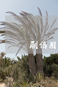 刷信用卡逾期后果 刷信用卡逾期后果