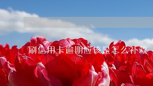 刷信用卡逾期应该是怎么补救