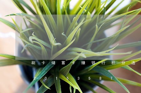 刷卡储蓄卡赚银行积分违法吗/2023020153587 刷卡储蓄卡赚银行积分违法吗/2023020153587