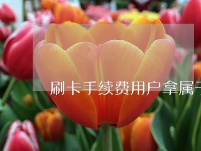 刷卡手续费用户拿属于违法吗 刷卡手续费用户拿属于违法吗