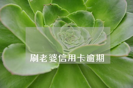 刷老婆信用卡逾期 刷老婆信用卡逾期