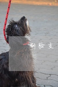 刷脸支付违法吗 刷脸支付违法吗