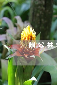 削公共烟道的违法成本太低 削公共烟道的违法成本太低