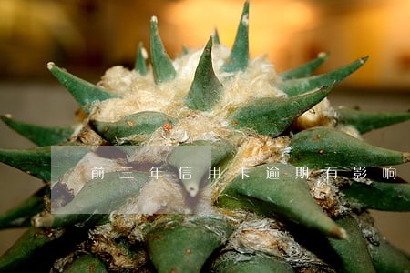前三年信用卡逾期有影响吗 前三年信用卡逾期有影响吗