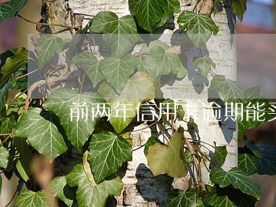 前两年信用卡逾期能买车吗 前两年信用卡逾期能买车吗