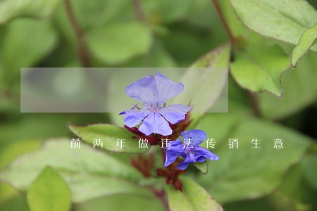前两年做违法传销生意 前两年做违法传销生意