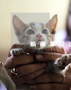 前两年只还利息第三年还本金 前两年只还利息第三年还本金