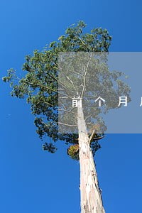 前个月房贷逾期不能办信用卡 前个月房贷逾期不能办信用卡
