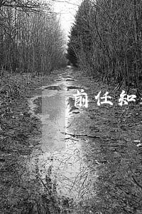 前任知道我网贷逾期 前任知道我网贷逾期